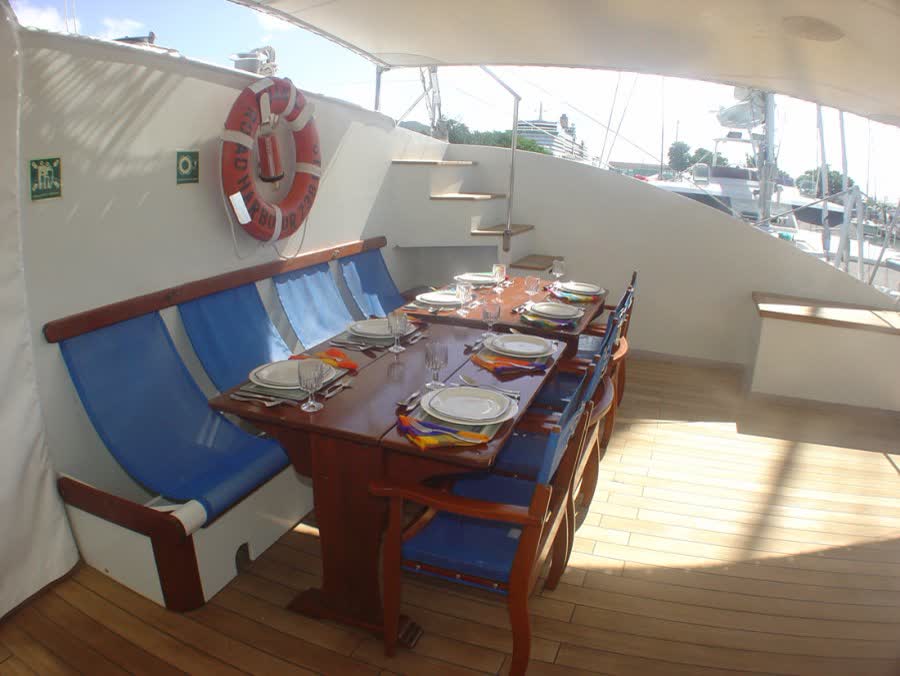 The deck, wide enough for the whole party.