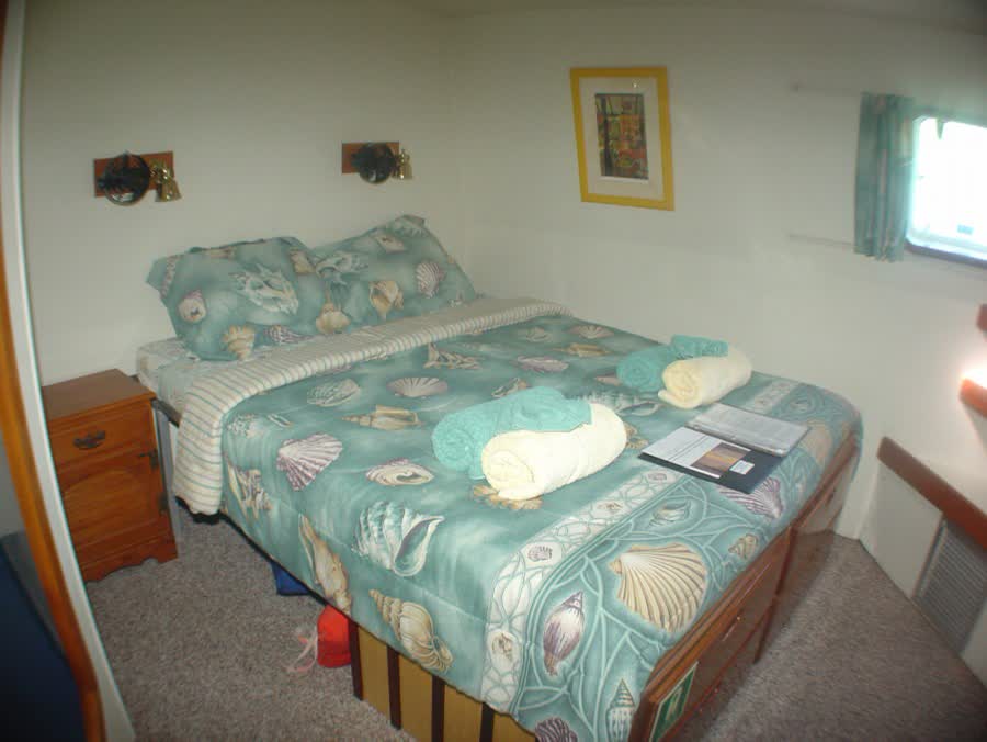 The saloon, between dives.